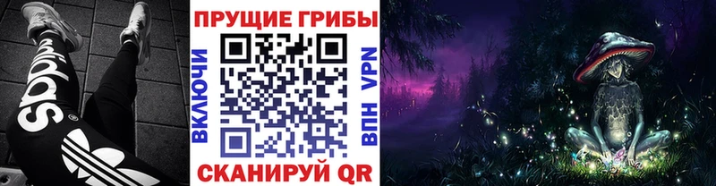 Купить  Нововоронеж  Галлюциногенные грибы мухоморы 